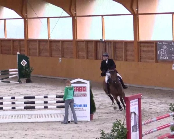Hallenspringturnier Xanten - Reitanlage Miß 2014