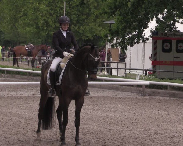 Reitturnier Hamm-Rhynern 2025
