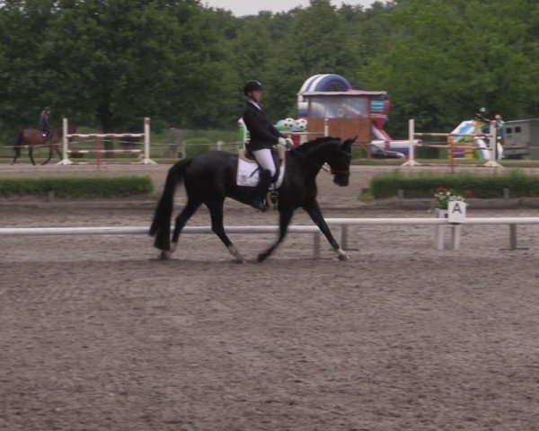 Reitturnier Hamm-Rhynern 2025