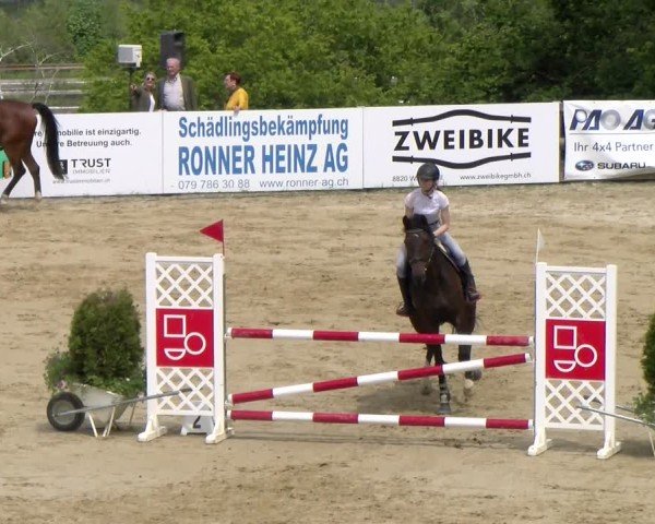 Reitturnier Wädenswil 2025
