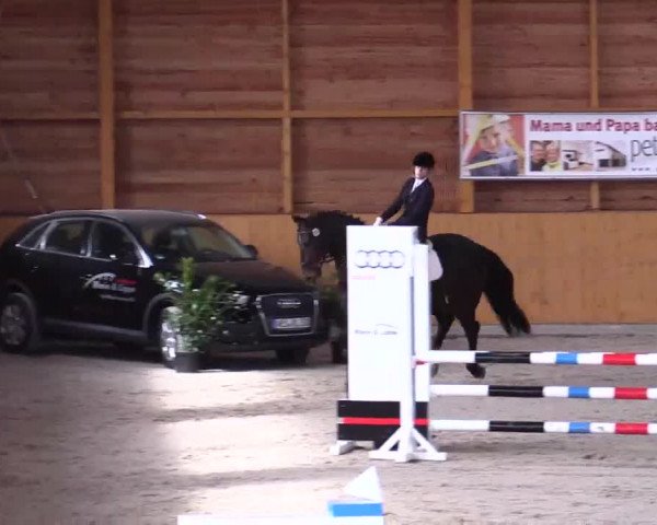 Hallenspringturnier Xanten - Reitanlage Miß 2014