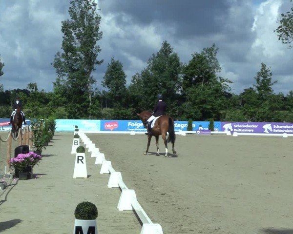 Reitturnier Scharnebeck 2025