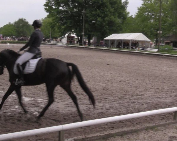 Reitturnier Hamm-Rhynern 2025