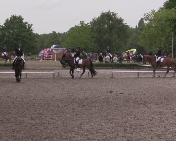 Reitturnier Hamm-Rhynern 2025