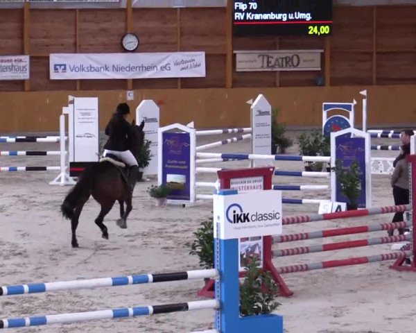 Hallenspringturnier Xanten - Reitanlage Miß 2014