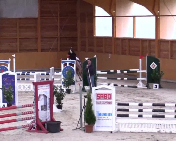 Hallenspringturnier Xanten - Reitanlage Miß 2014