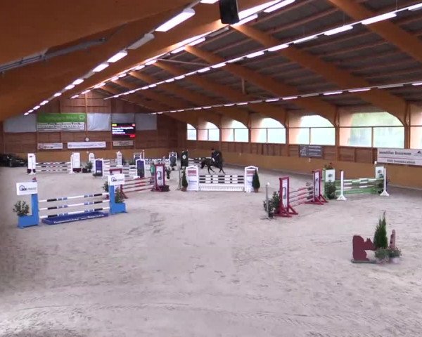 Hallenspringturnier Xanten - Reitanlage Miß 2014
