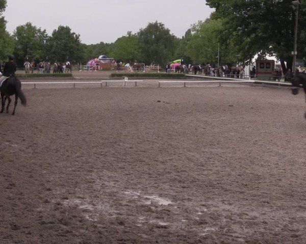 Reitturnier Hamm-Rhynern 2025