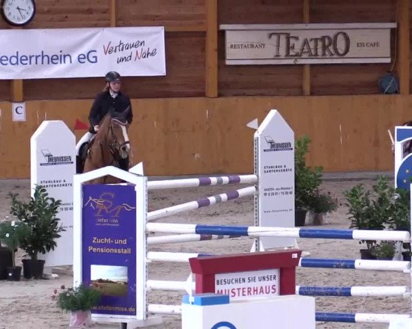 Hallenspringturnier Xanten - Reitanlage Miß 2014
