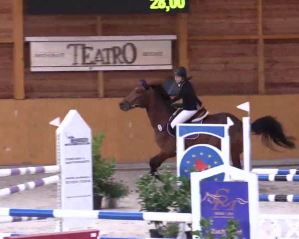 Hallenspringturnier Xanten - Reitanlage Miß 2014
