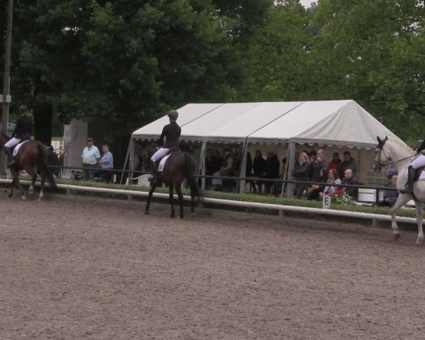 Reitturnier Hamm-Rhynern 2025