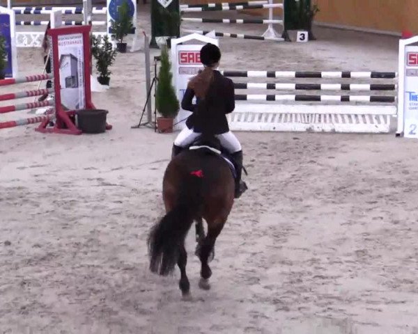 Hallenspringturnier Xanten - Reitanlage Miß 2014
