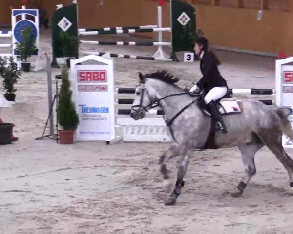 Hallenspringturnier Xanten - Reitanlage Miß 2014