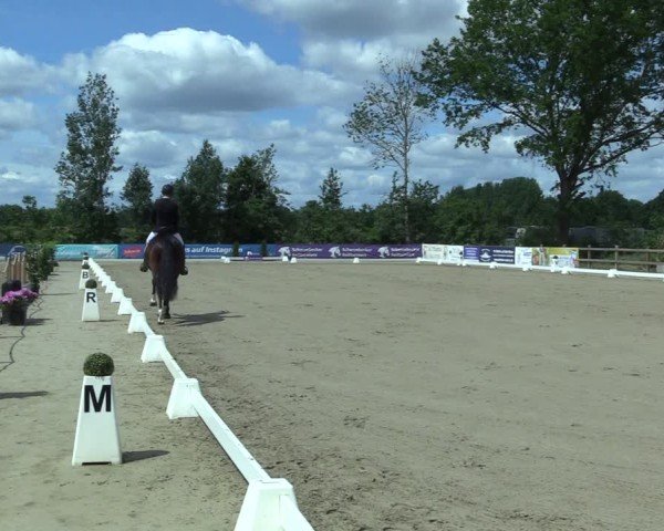 Reitturnier Scharnebeck 2025