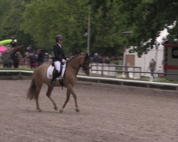 Reitturnier Hamm-Rhynern 2025