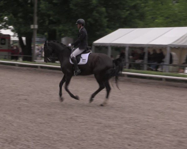 Reitturnier Hamm-Rhynern 2025