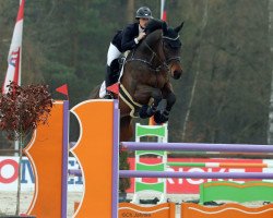 jumper Stromberg 21 (Hanoverian, 2013, from Stolzenberg)