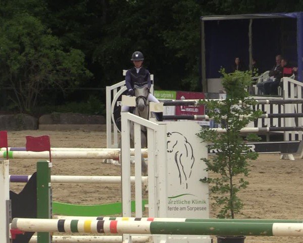 Reitturnier Hellefeld 2025