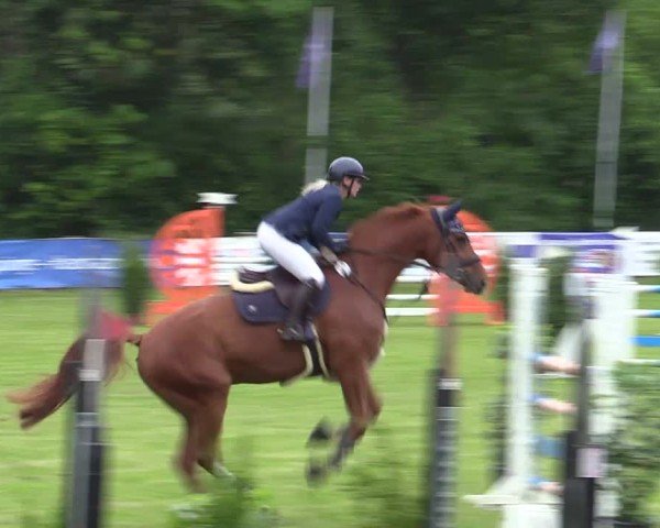 Reitturnier Scharnebeck 2025