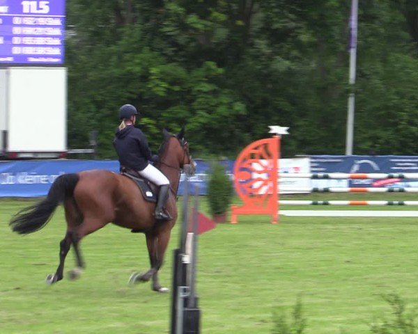 Reitturnier Scharnebeck 2025