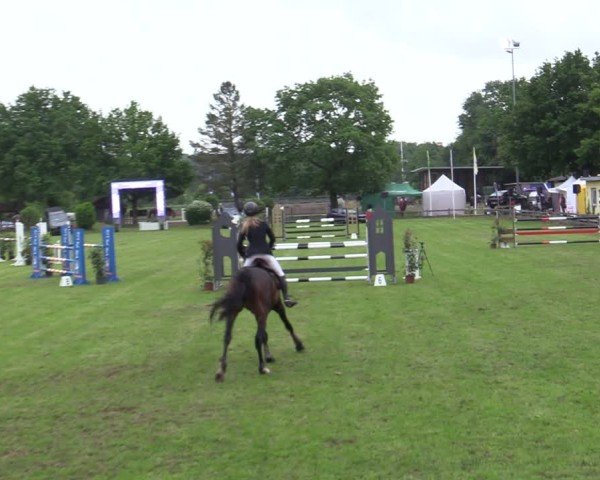 Reitturnier Scharnebeck 2025