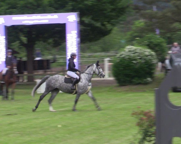 Reitturnier Scharnebeck 2025