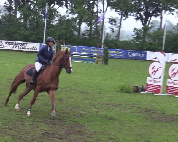 Reitturnier Scharnebeck 2025