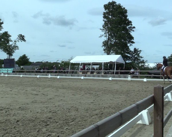Reitturnier Scharnebeck 2025