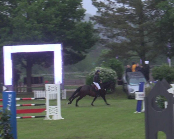 Reitturnier Scharnebeck 2025