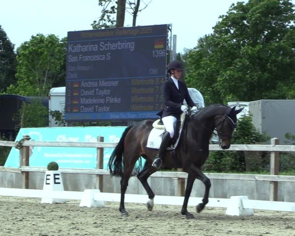 Reitturnier Scharnebeck 2025