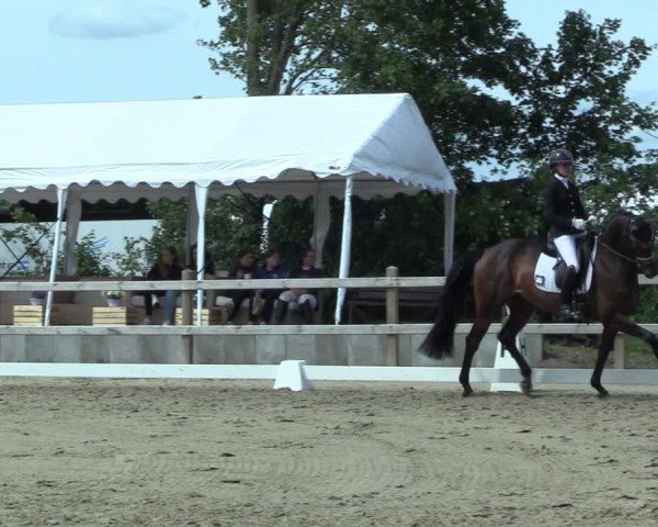 Reitturnier Scharnebeck 2025