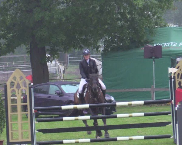 Reitturnier Scharnebeck 2025