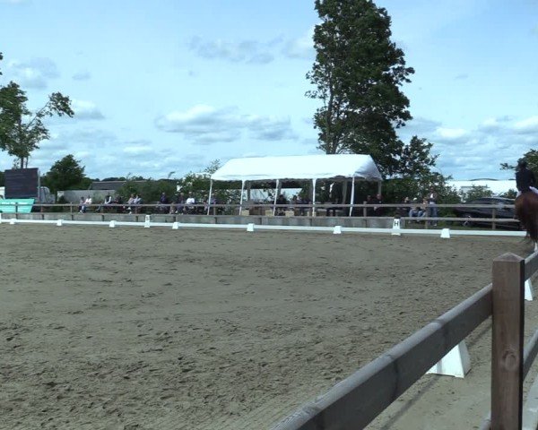 Reitturnier Scharnebeck 2025