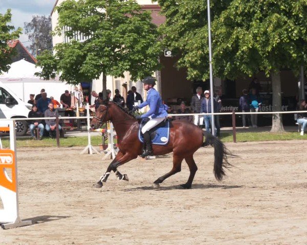 Reitturnier Kitzscher / Reitanlage Heuter 2025
