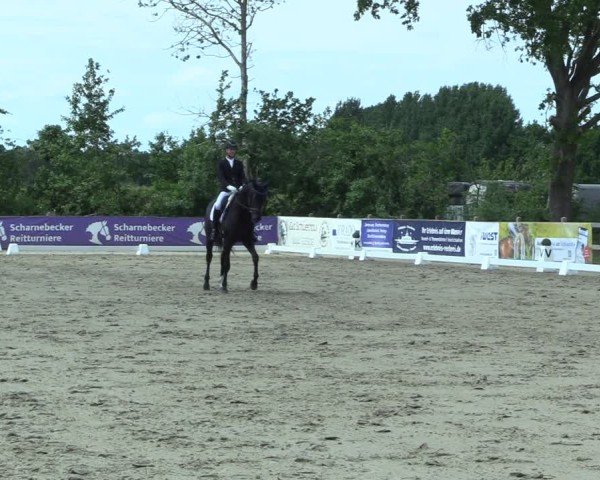 Reitturnier Scharnebeck 2025
