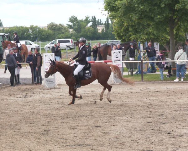 Reitturnier Kitzscher / Reitanlage Heuter 2025