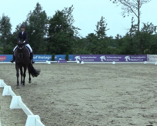 Reitturnier Scharnebeck 2025