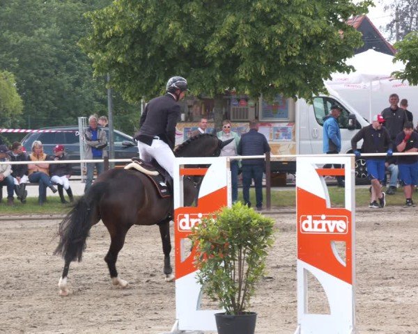 Reitturnier Kitzscher / Reitanlage Heuter 2025