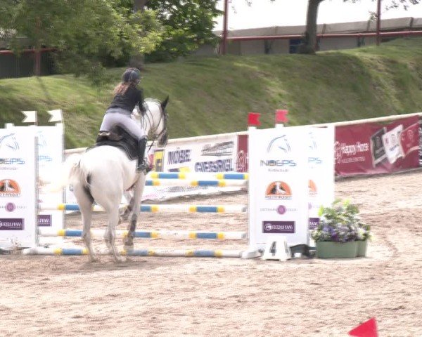 Reitturnier Lassee 2025