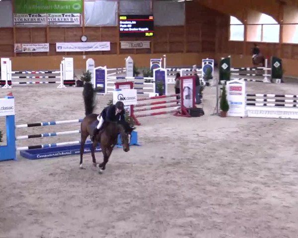 Hallenspringturnier Xanten - Reitanlage Miß 2014