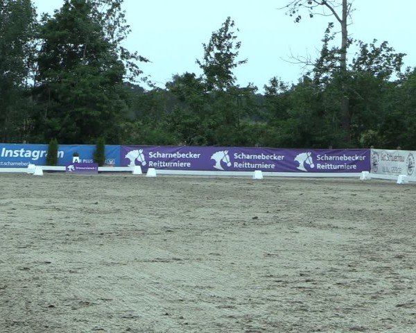 Reitturnier Scharnebeck 2025