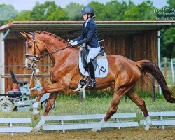 broodmare Rocket Ronja (Hanoverian, 2021, from Rock Springs)