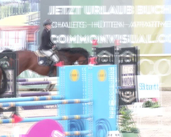 Reitturnier Lassee 2025
