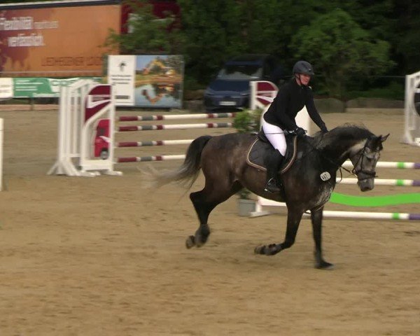 Reitturnier Hellefeld 2025