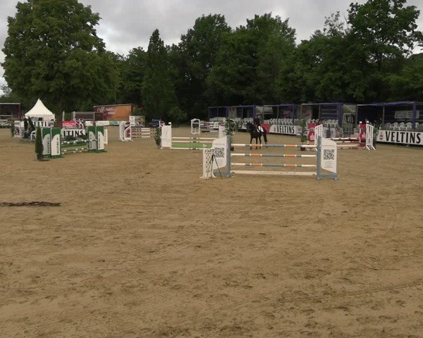Reitturnier Hellefeld 2025