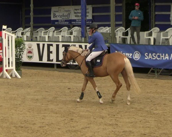 Reitturnier Hellefeld 2025