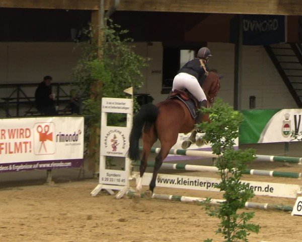 Reitturnier Hellefeld 2025