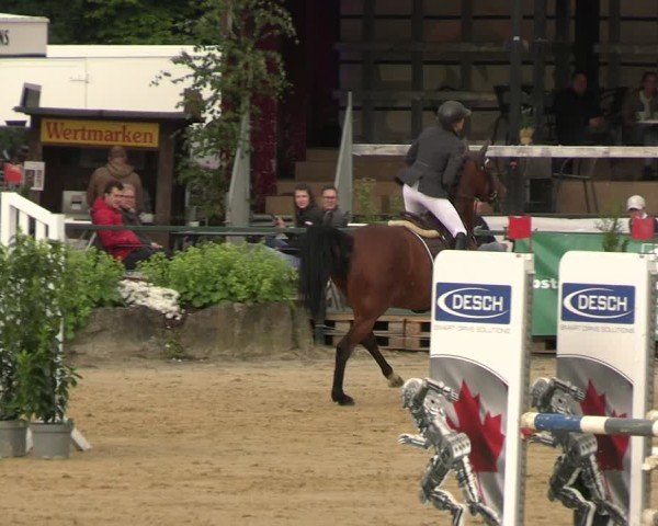 Reitturnier Hellefeld 2025