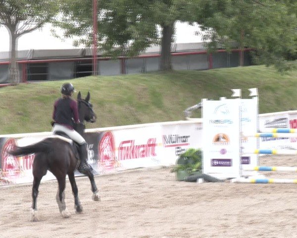 Reitturnier Lassee 2025