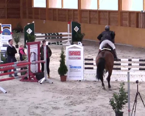 Hallenspringturnier Xanten - Reitanlage Miß 2014